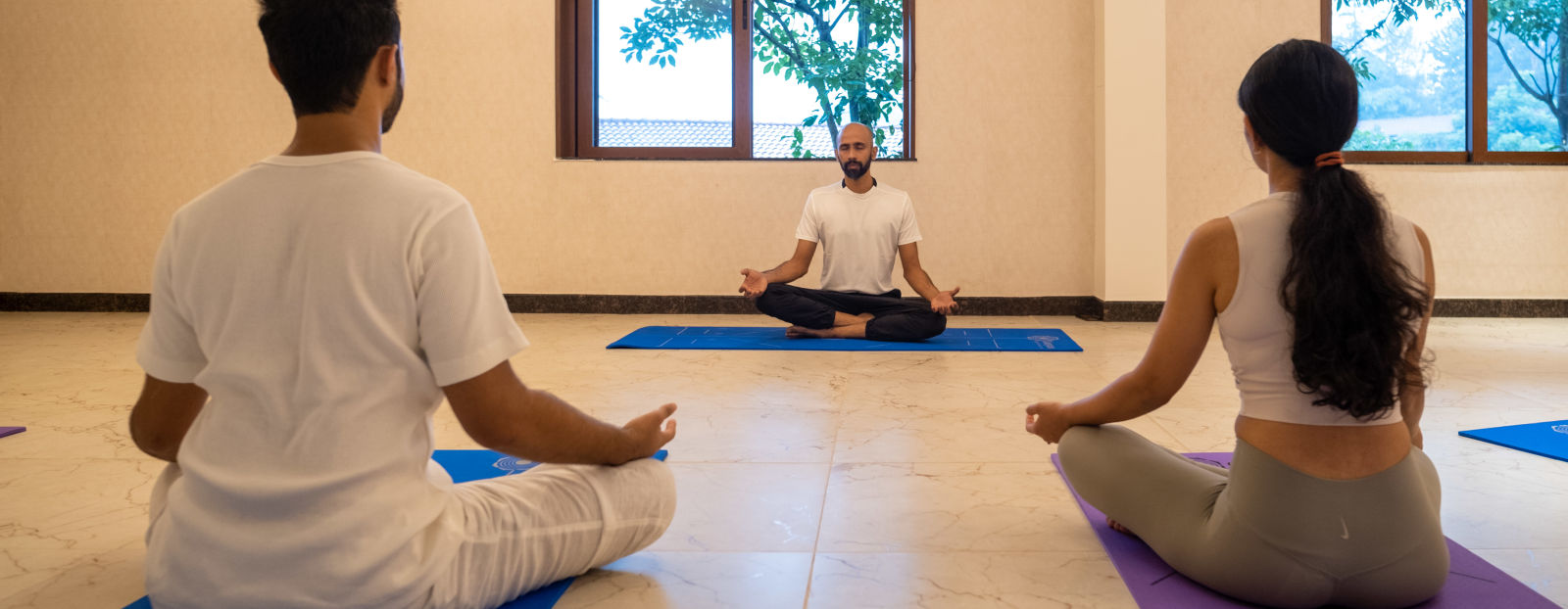 a yoga class in session