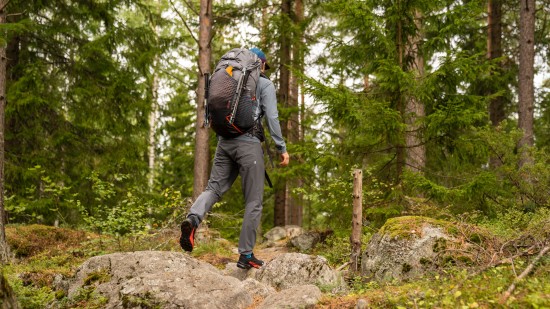 A person trekking through a forest