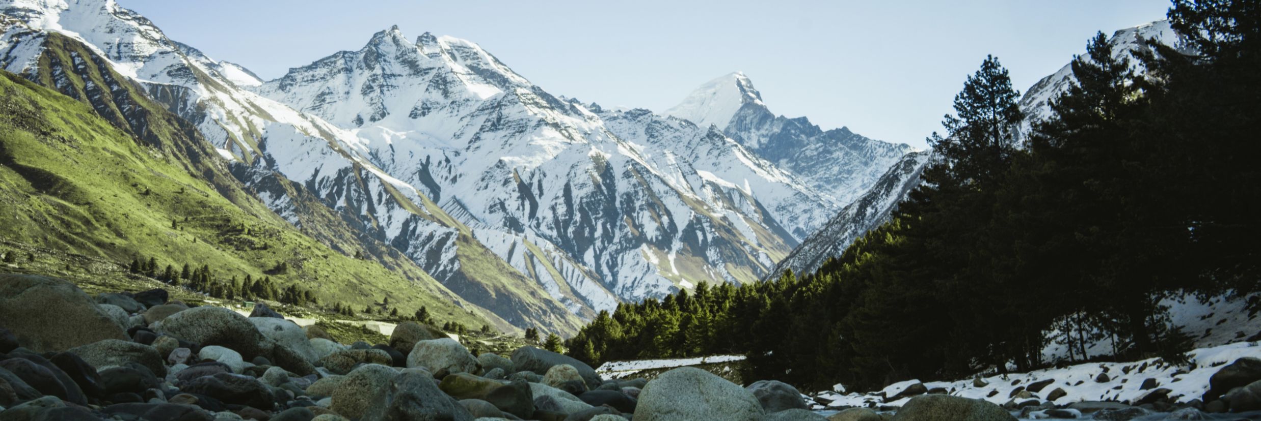 flowing river amid mountains and forest