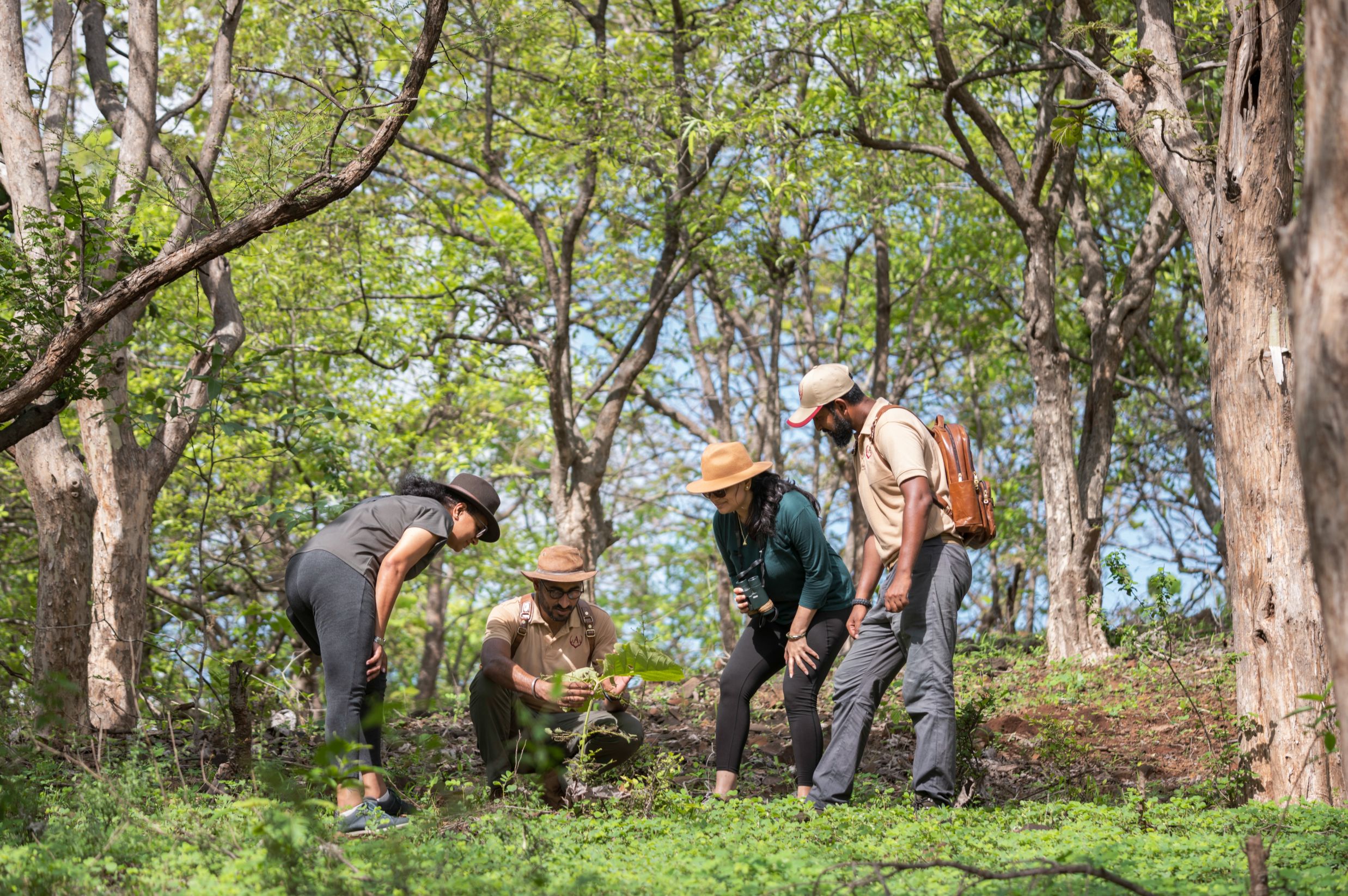 Experiencing the forests at Resorts in Gir National Park 