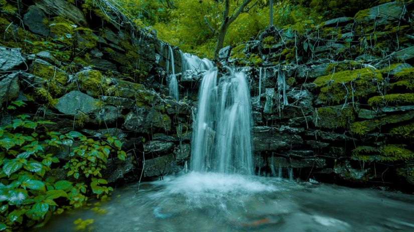 water fall surrounded by lush greenery