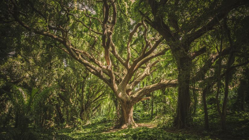 maharashtra nature park