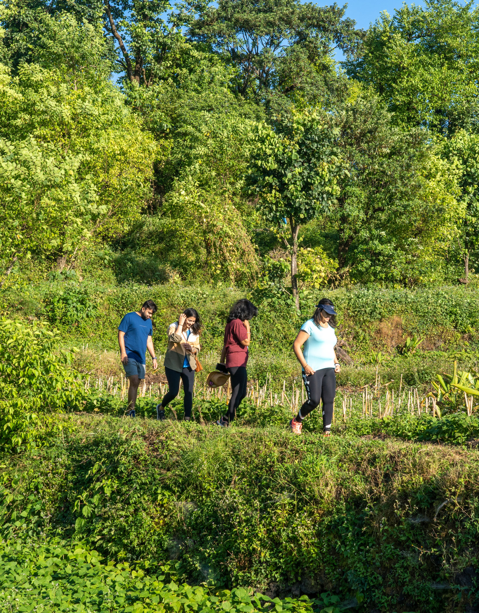 a group of people on a hike