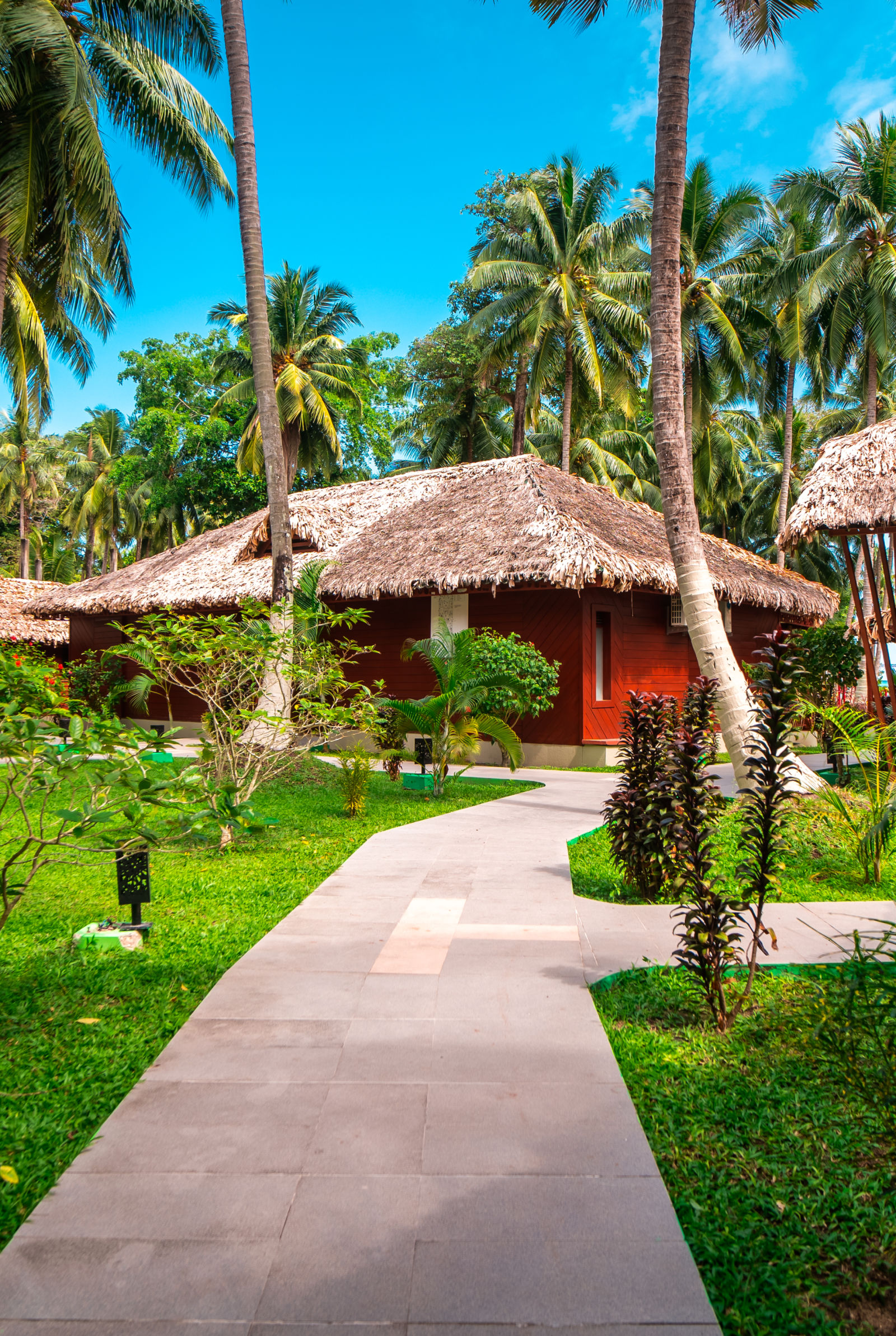 Pathway in a graden space at Coral Reef Hotel & Resort