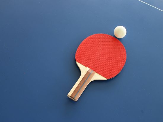 a tt racquet with a tt ball on the tt table  - Ibex River Resort, Pollachi