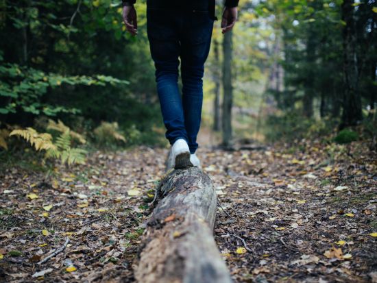 A person walking in a lush green forest