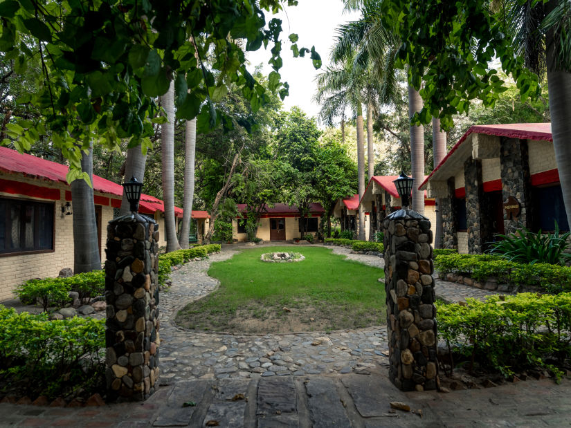 Entrance to the resort with plants next to a stone pillar - Leopard Lair Ananta Express, Bera