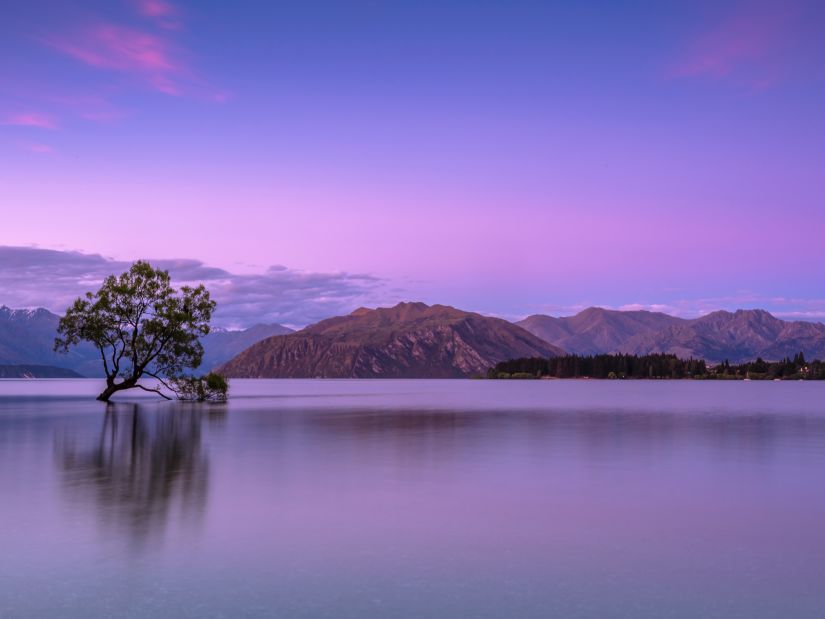 a natural scenery in shades of purple