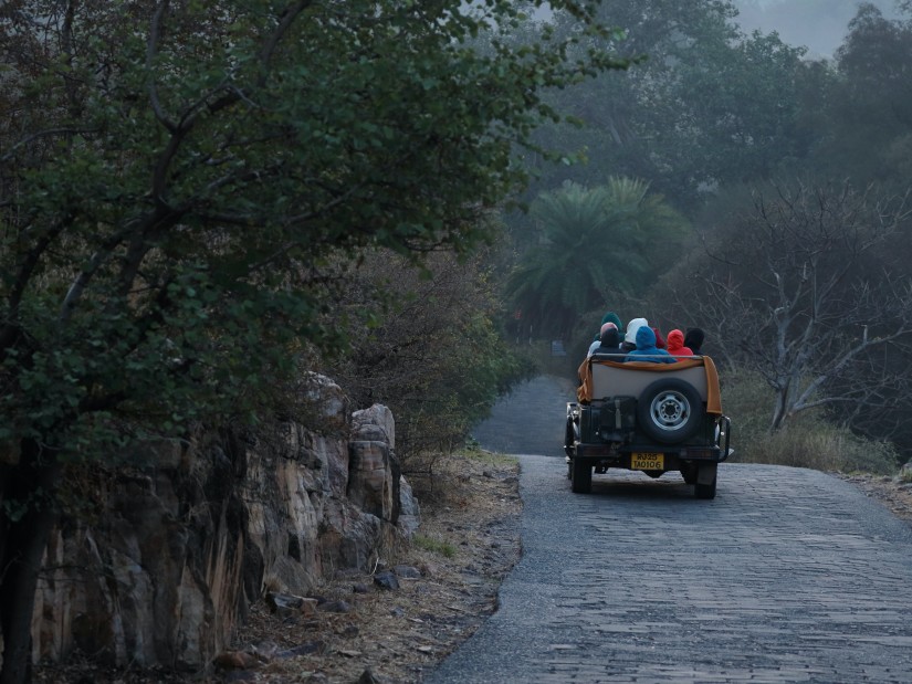 a jeep during a safari