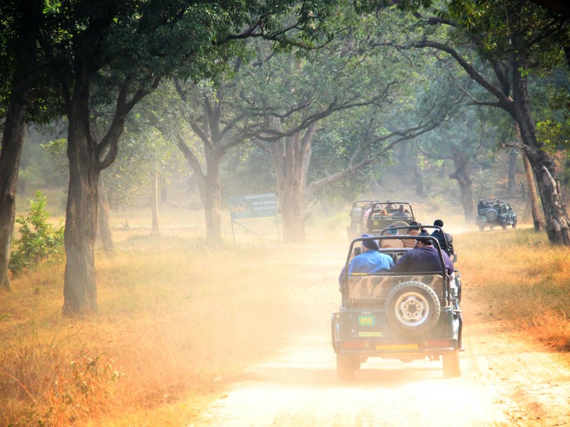 a jeep going on a safari with people sitting on it