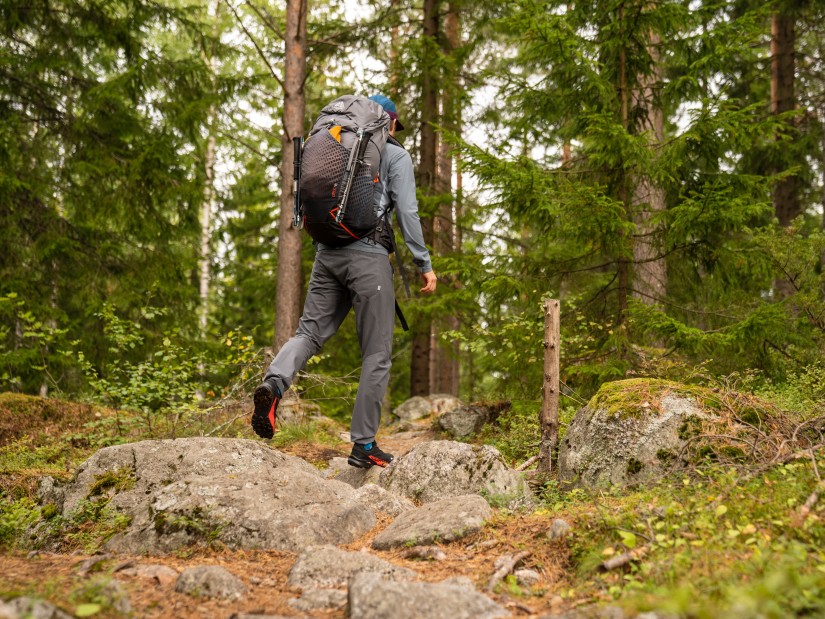 A person trekking through a forest