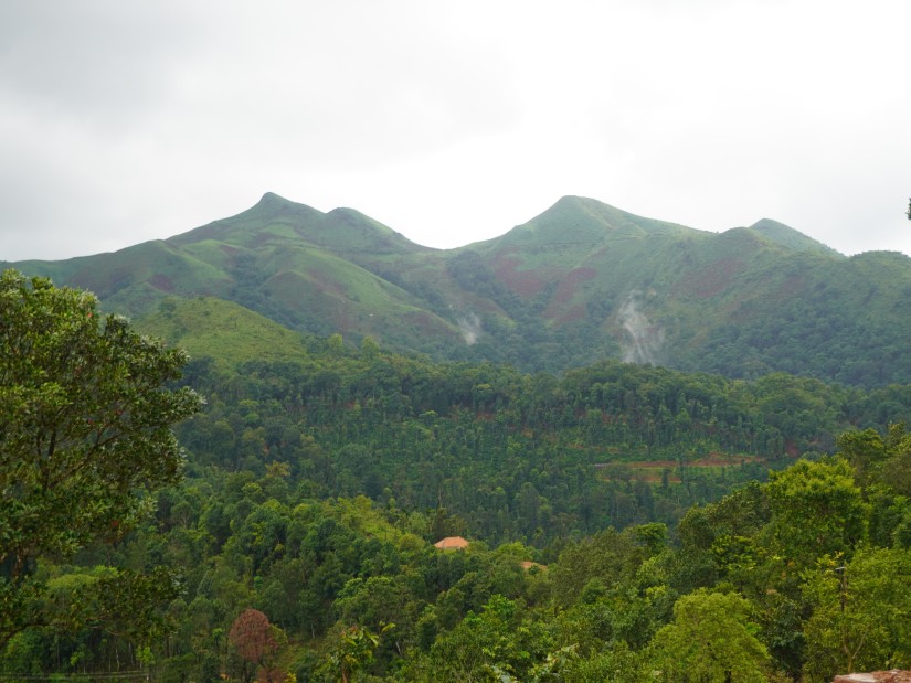 In and Around Chikmagalur