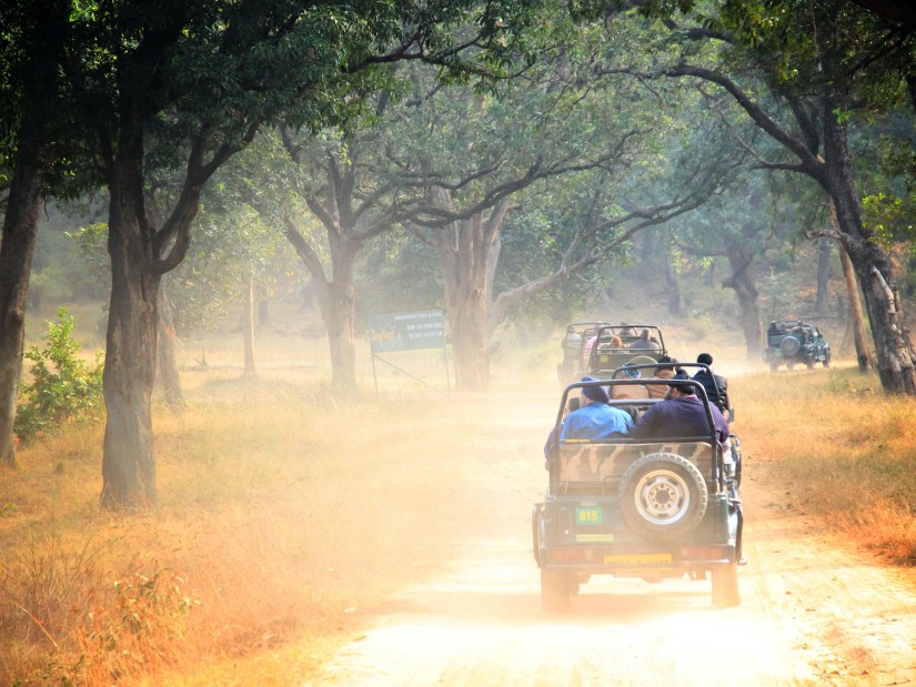 Nagarahole Tiger Reserve Safari