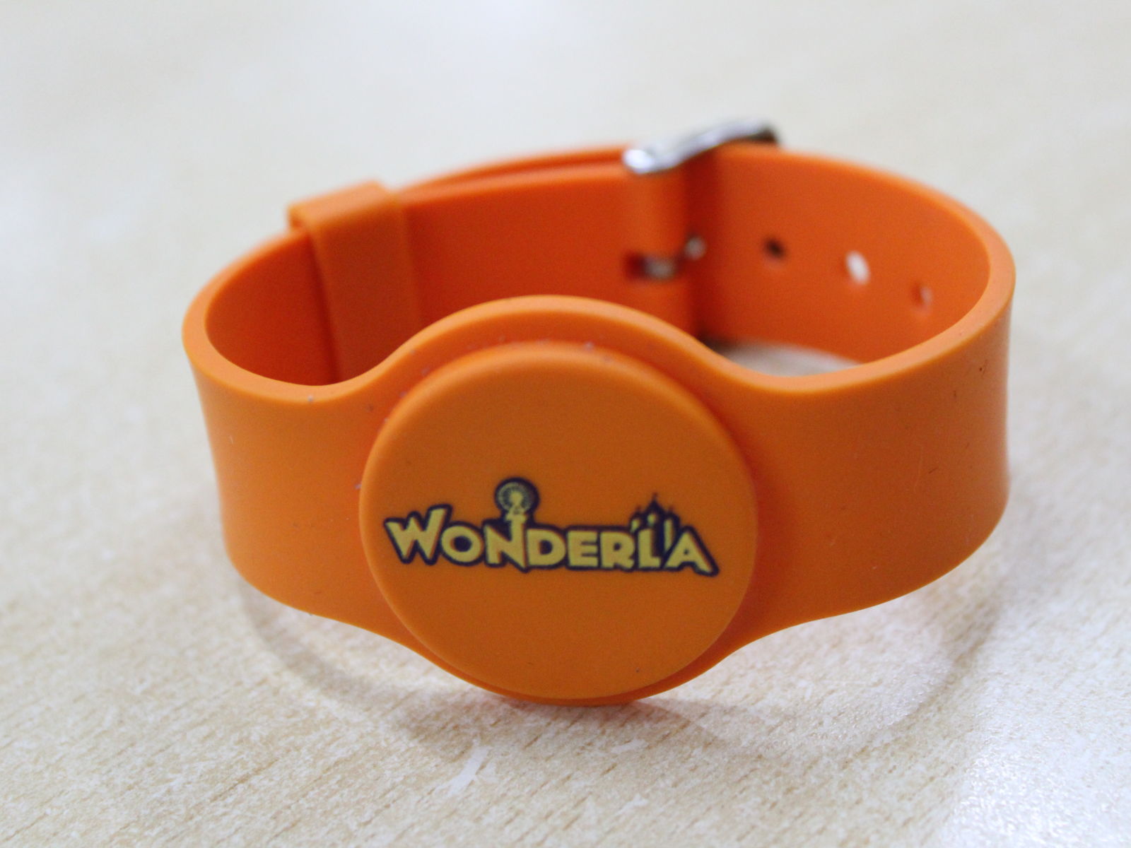 EZ Pay wrist band at Wonderla