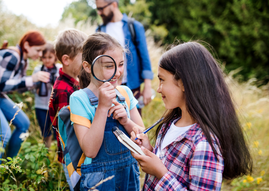 alt-text joy of learning