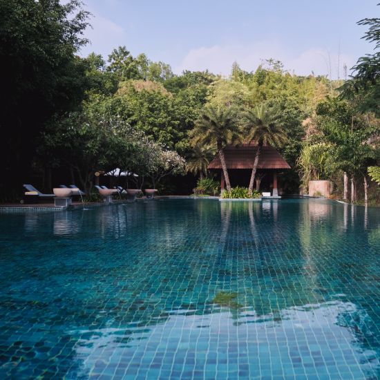 Overview of the swimming pool with sun lounger and two coconuts - The Ananta Udaipur