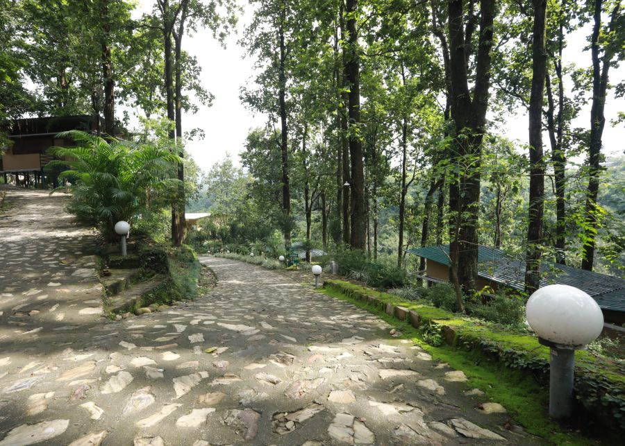 alt-text driveway leading to The Sal Woods Forest Resort & Spa