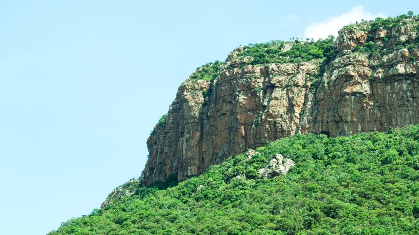 a cliff covered with trees at Sapthagiri Tirupati