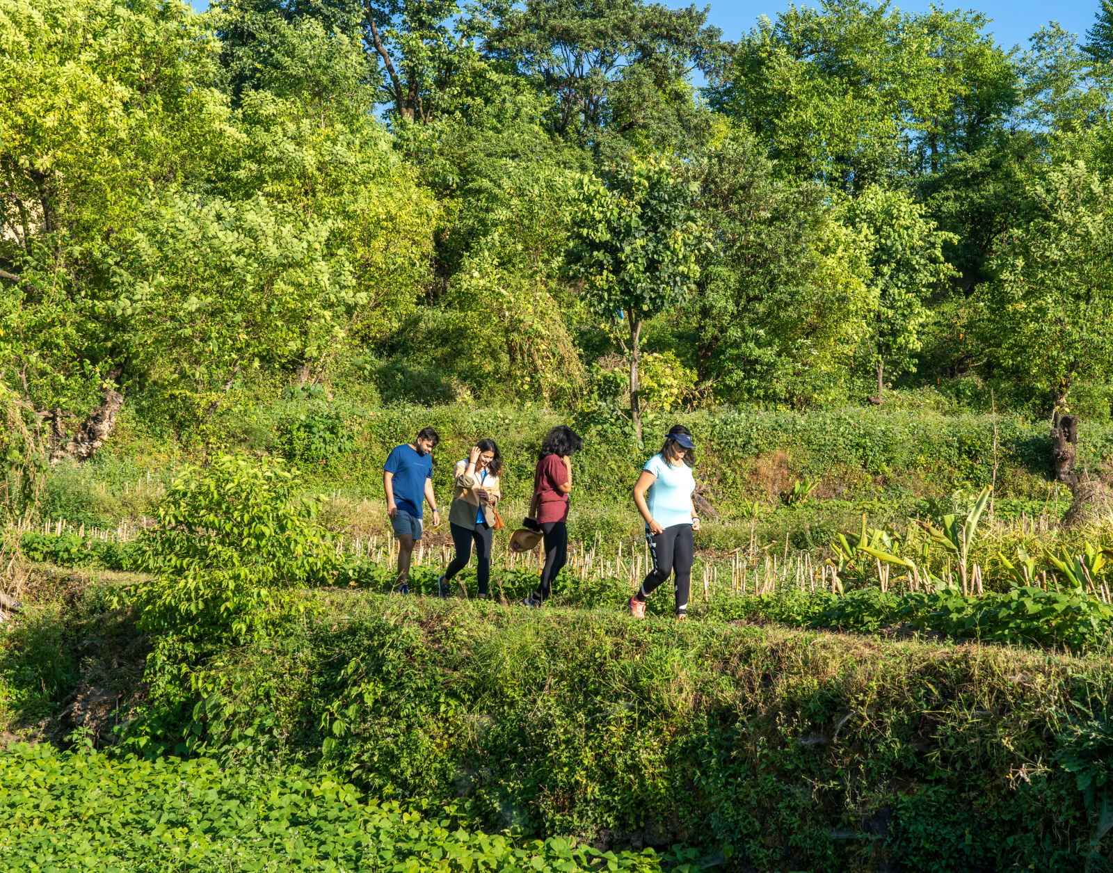 a group of people on a hike