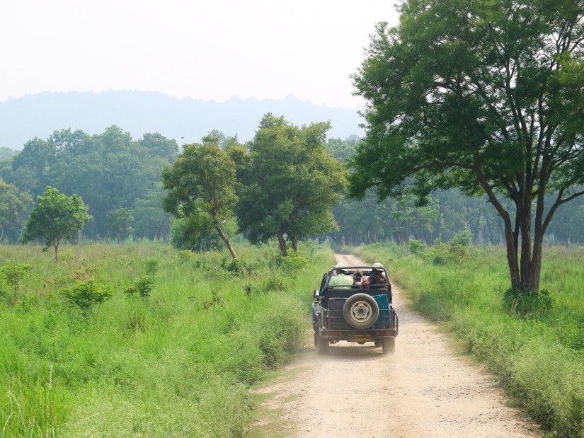 a jeep during a safari 2