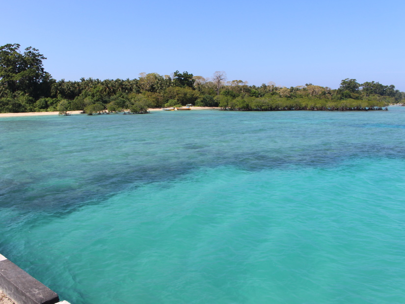 View from Jetty - Neil Kendra in Andaman and Nicobar Islands