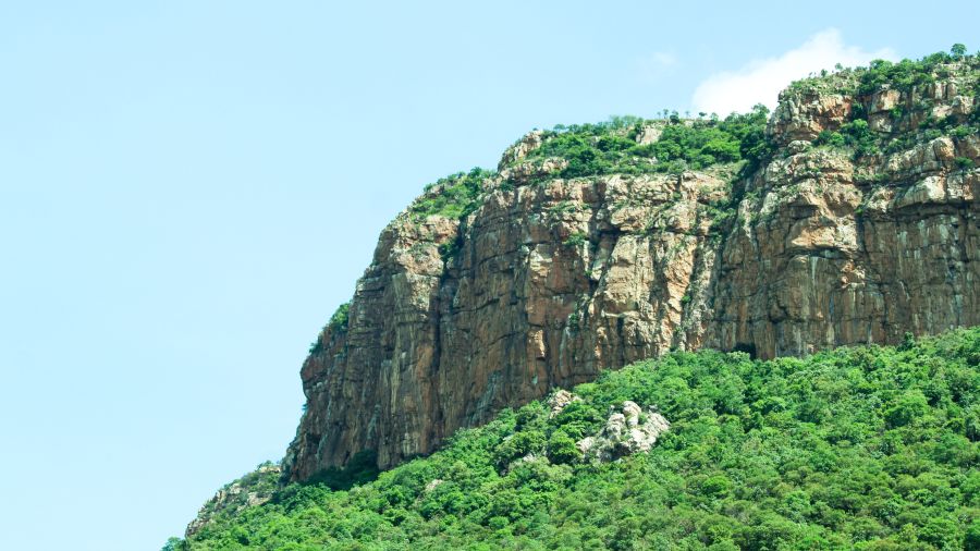 a cliff covered with trees at Sapthagiri Tirupati