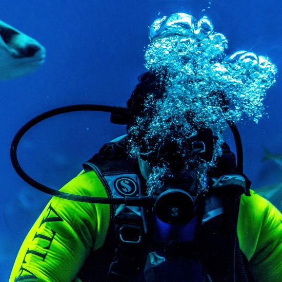 Scuba diver with a fish 