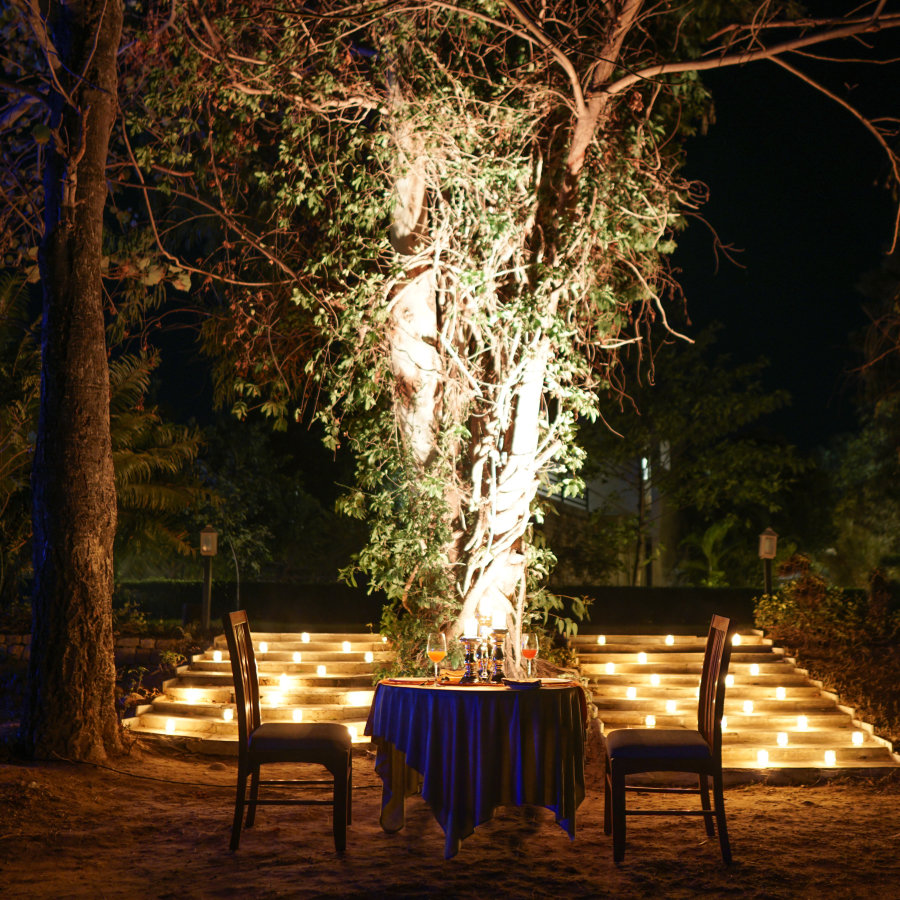 a dining table setup for two people in front of a decorated forest area for a romantic dinner - the golden tusk