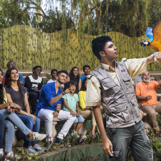 bird park esselworld, a group of people looking at a person holding a bird