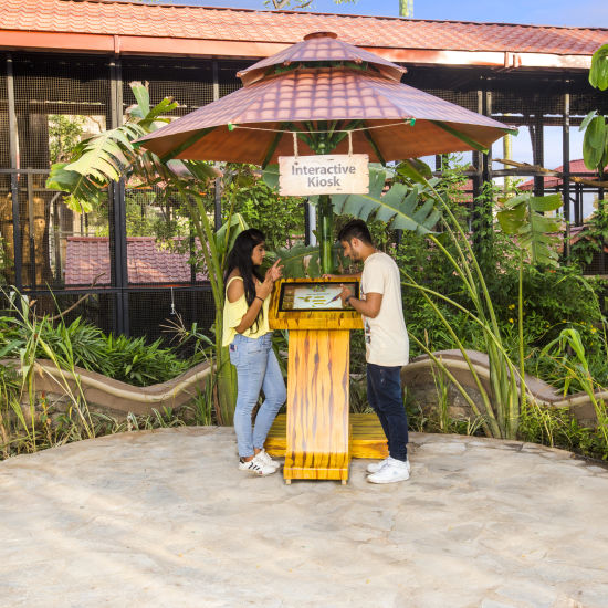 bird park esselworld,  a couple interacting with a kiosk