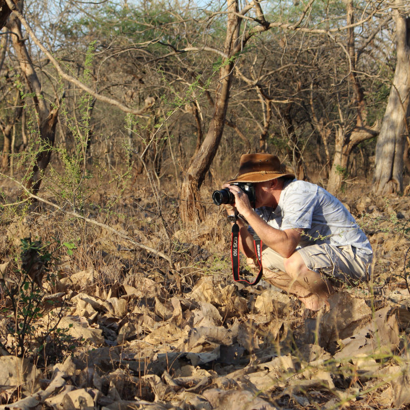 photographer capturing wildlife