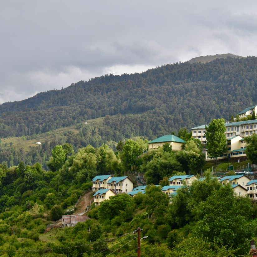 Buildings situated on a mountain surrounded by lush greenery