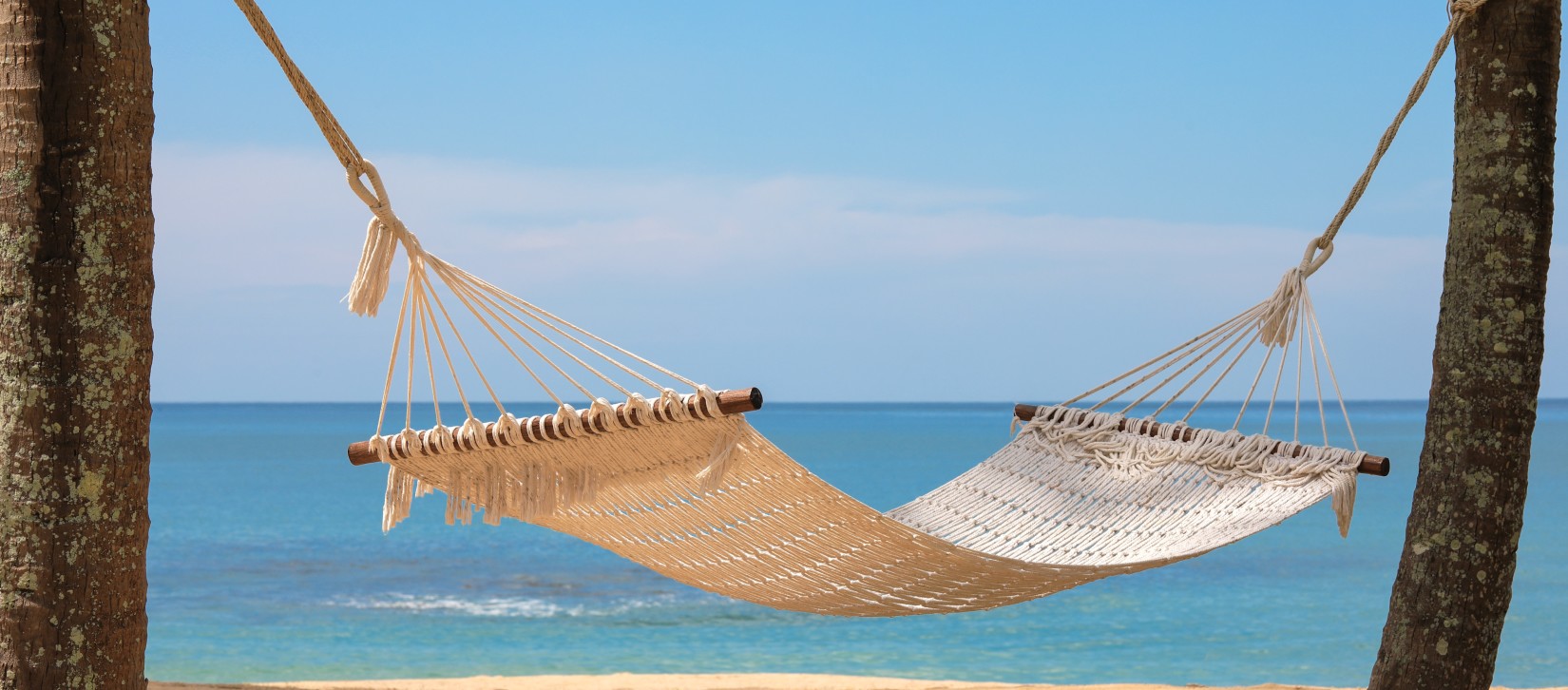 a beach and sunbed