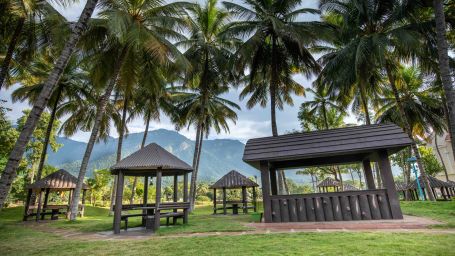 a bamboo garden with coconut trees in the background - Black Thunder, Coimbatore