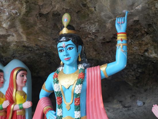 a close up shot of hindu deity Krishna with other idols in the background