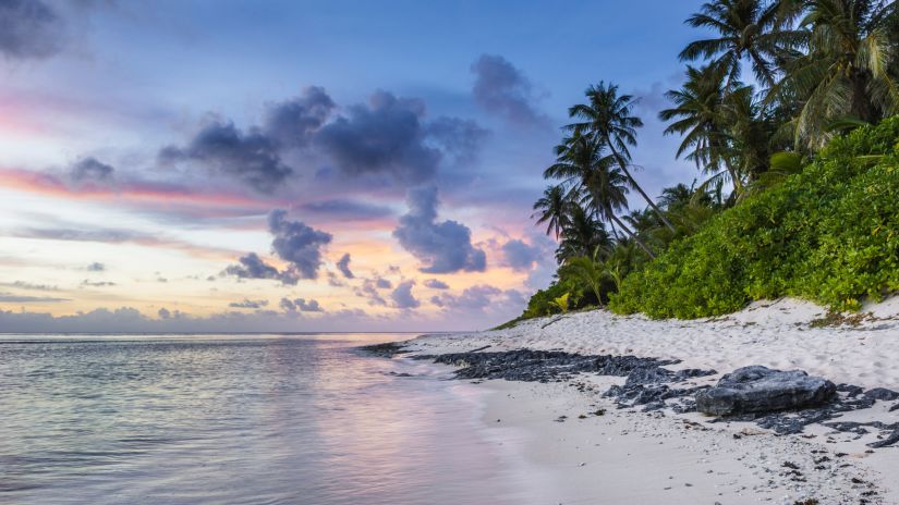 a clean beach with lush green trees around