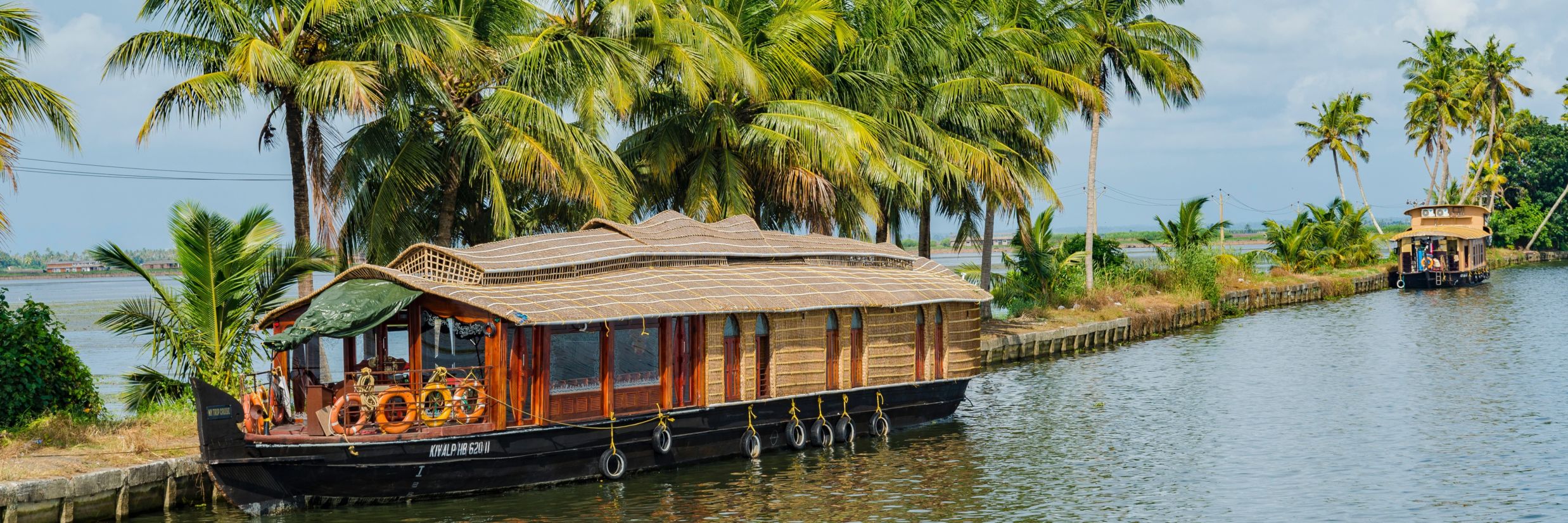 boat house in goa with palm trees as backdrop