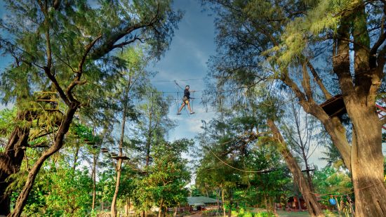 A person walking on a tightrope bridge 5