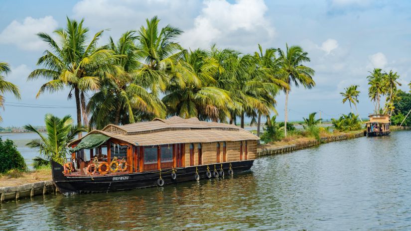 boat house in goa with palm trees as backdrop