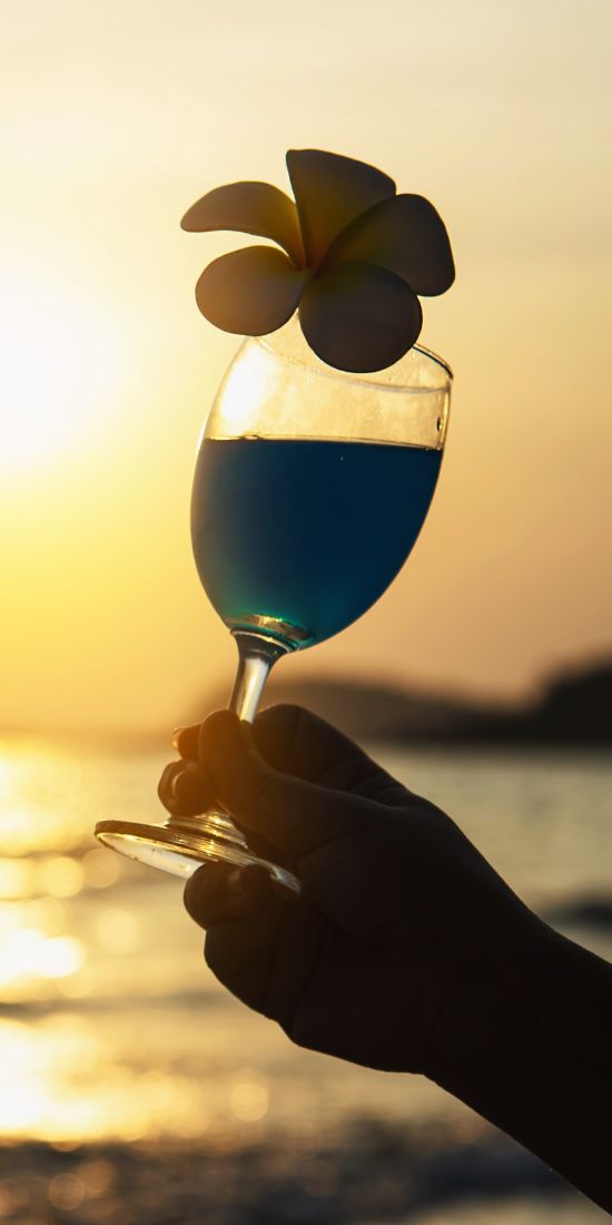 silhouette-couple-hand-holding-cocktail-glass-decoration-with-plumeria-flower-with-beach-happy-relax-celebration-vacation-sea-nature-concept