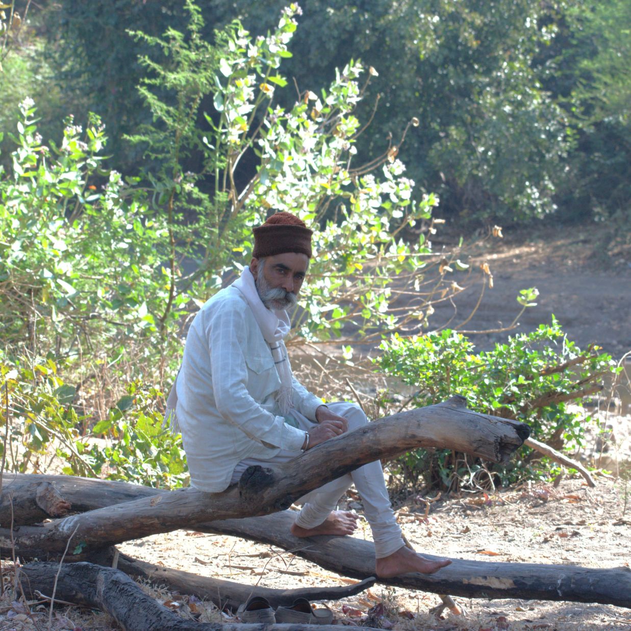 an old man sitting on a branch