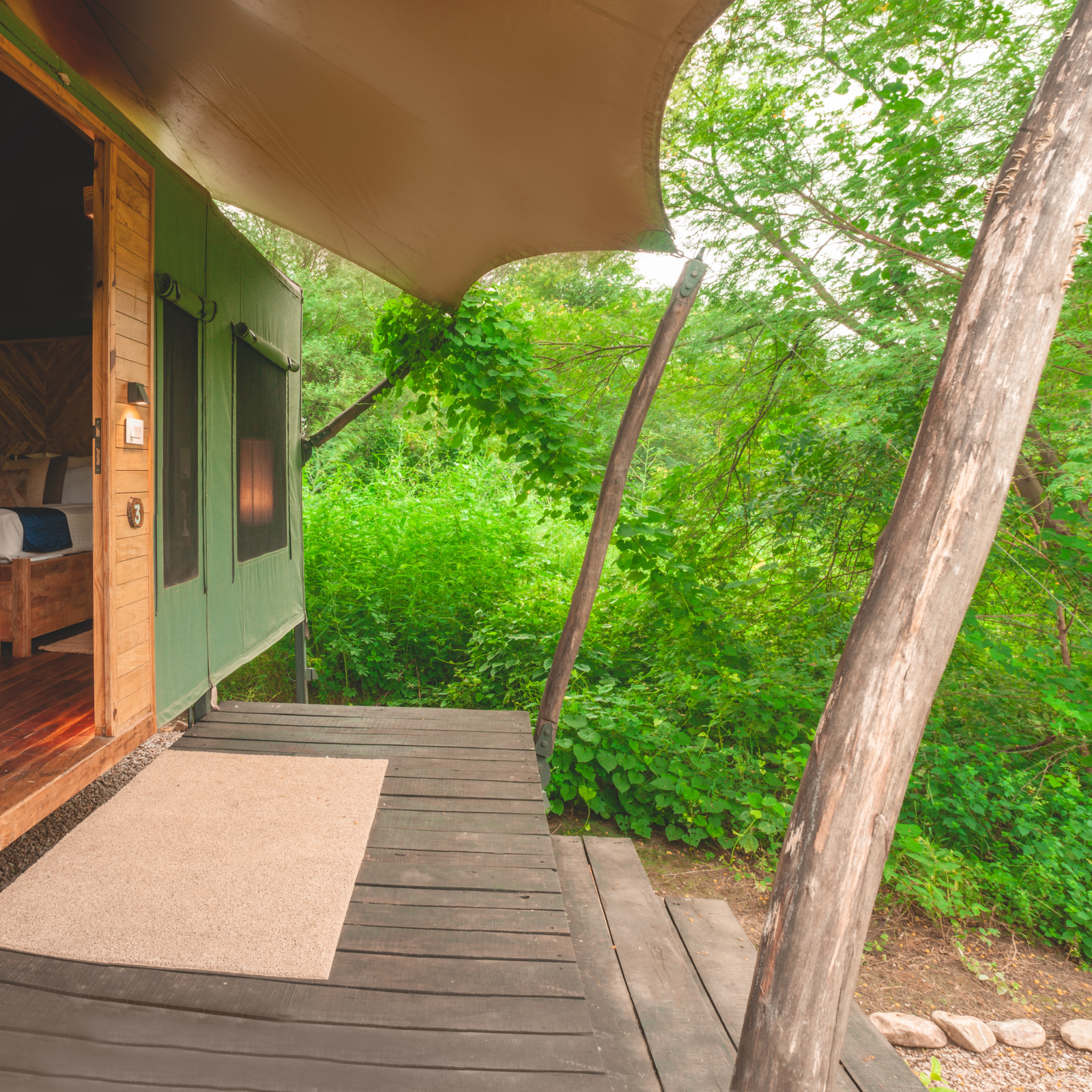 Stunning image of rooms at Trees N Tigers, Sariska