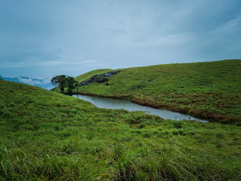 a stream between two lush green fields