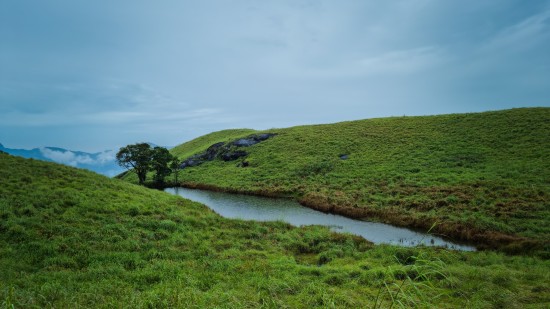 a stream between two lush green fields