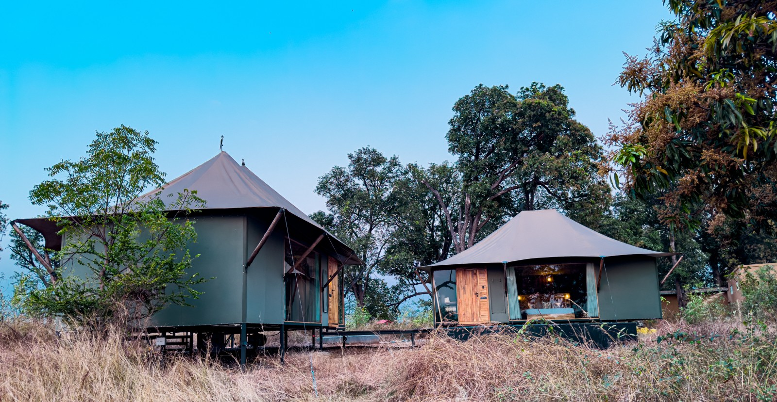 Luxury Family Suite at Trees N Tigers Tadoba