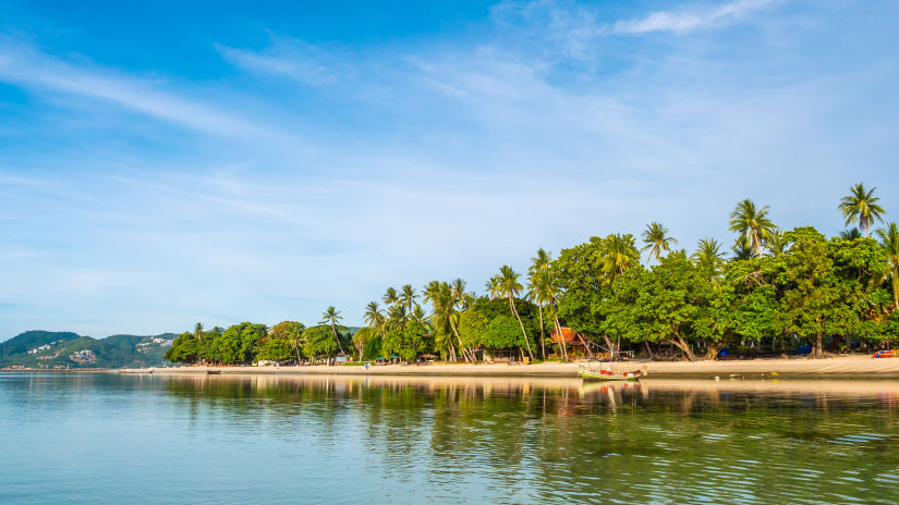 a beautiful tropical beach sea with coconut palm trees