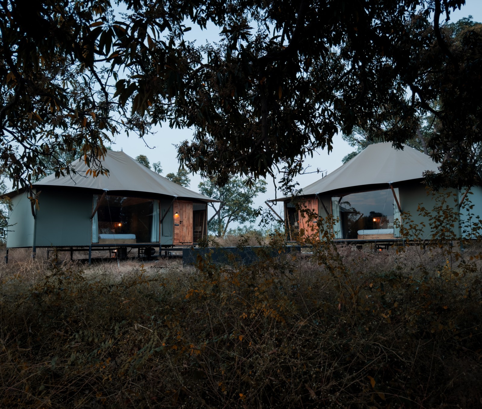 Lodge in Tadoba