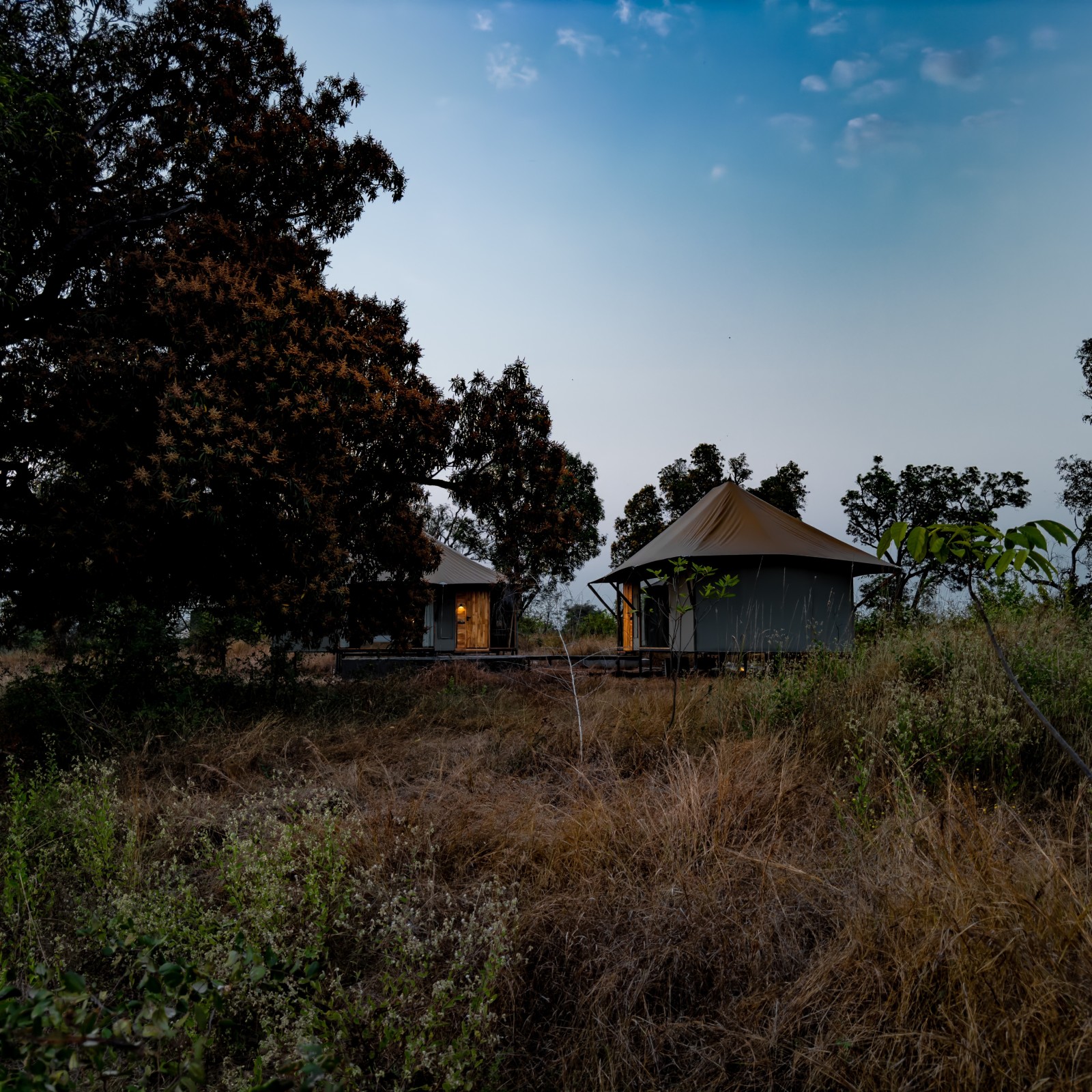 Family Stay at Trees N Tigers Tadoba