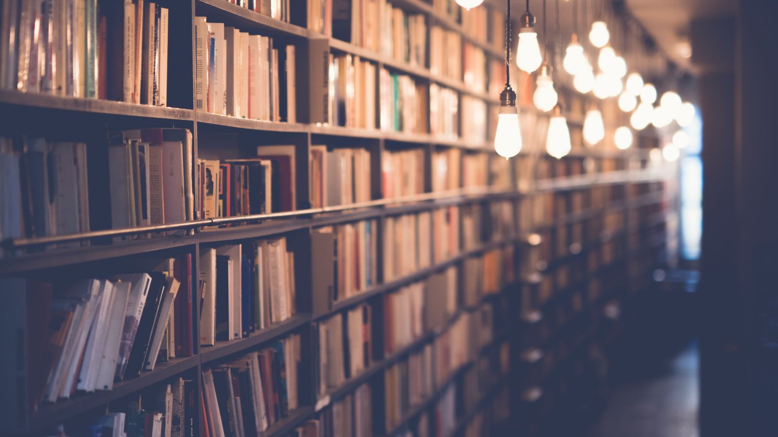 A shelf full of books in a dimly lit hall