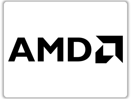 AMD  Custom 